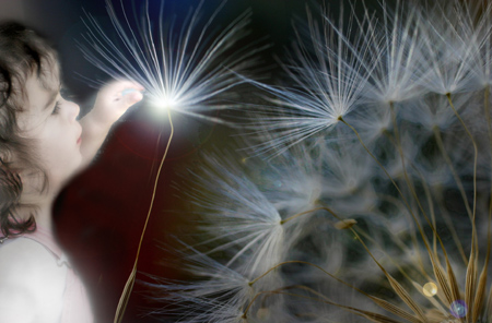 Birth of Wonder - SharonSkonetski